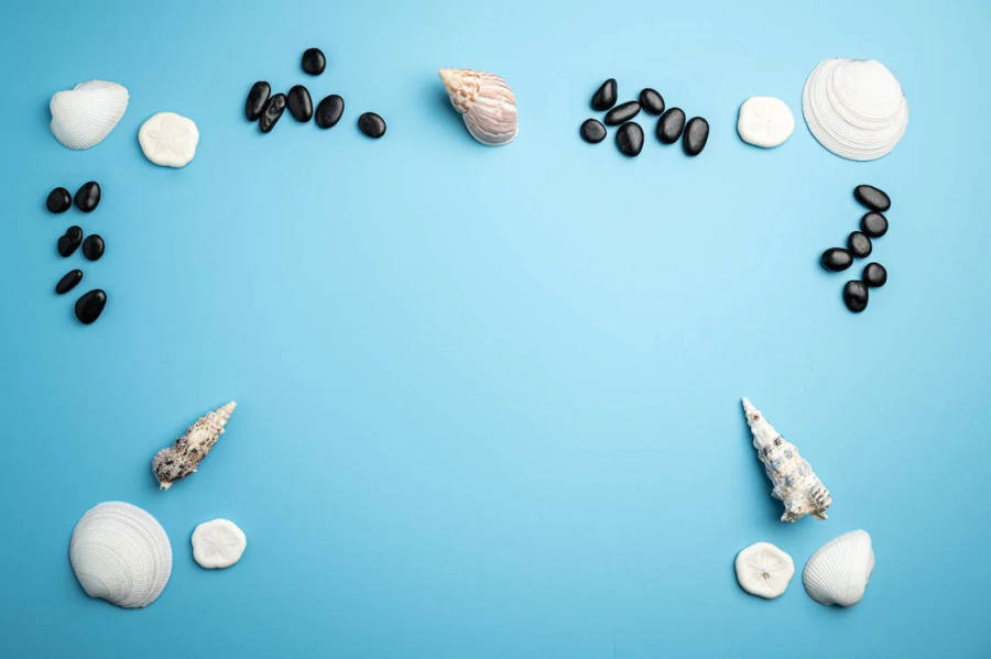 Shells And Pebbles Facebook Cover Wallpaper