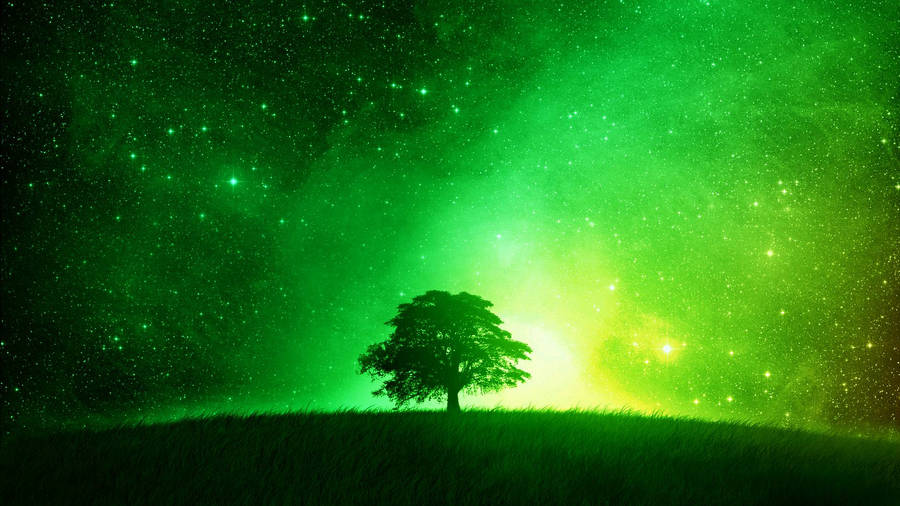 Shimmering Green Sky Wallpaper