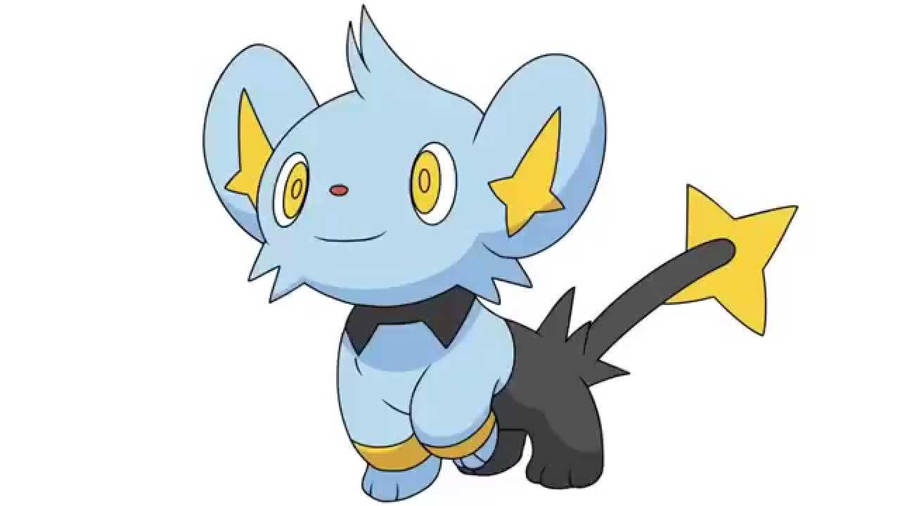 Shinx Walking Forwards Wallpaper