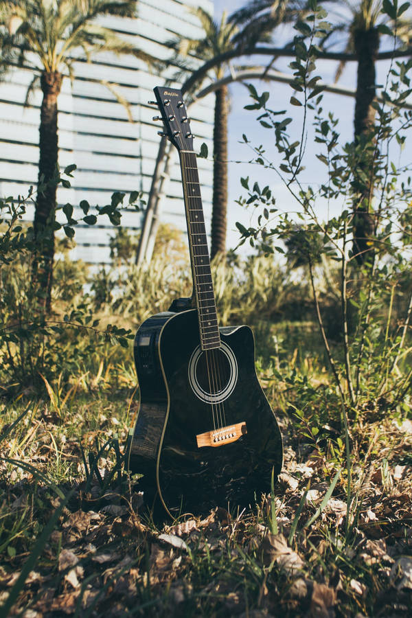 Shiny Black Acoustic Guitar Wallpaper