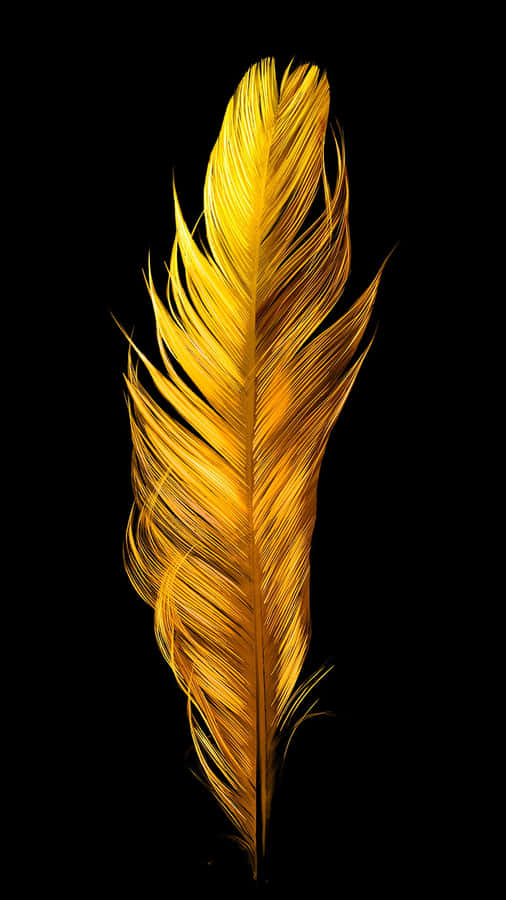 Shiny Yellow Feathers Wallpaper