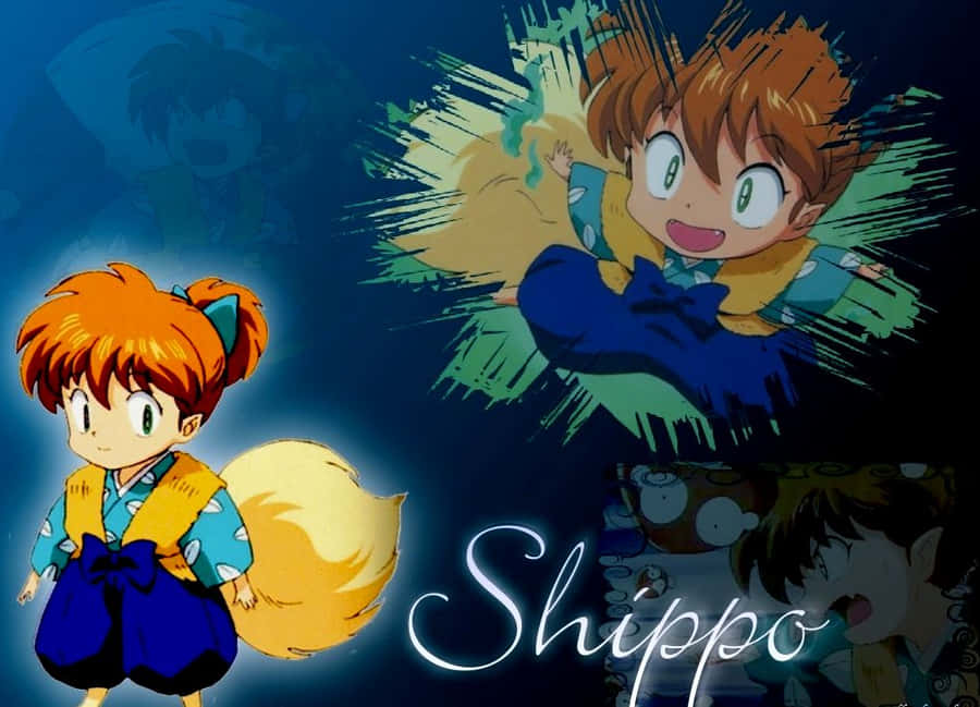 Shippo Courier Shipping Services Wallpaper