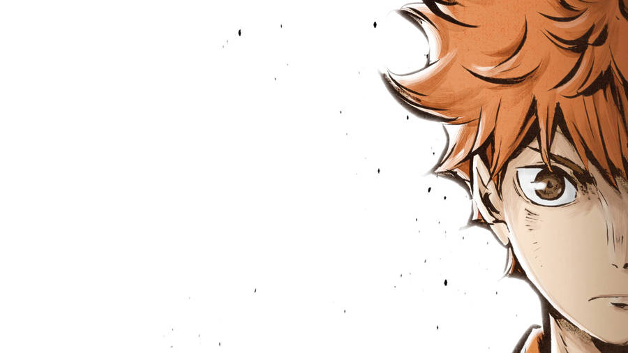 Shoyo Hinata, Haikyuu Hd Wallpaper