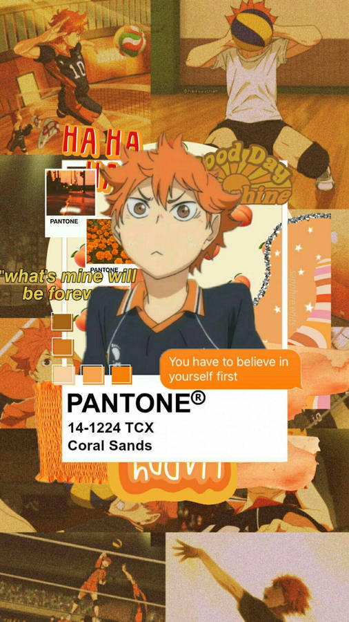 Shoyo Hinata Pantone Coral Sands Wallpaper