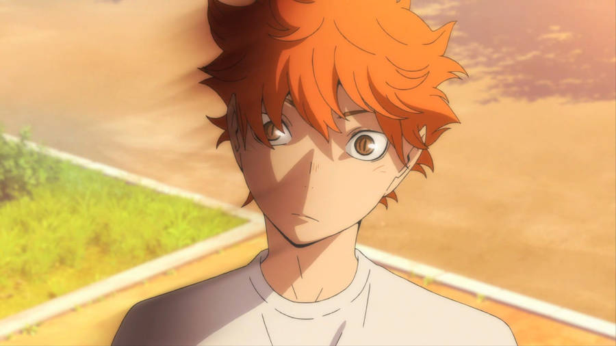 Shoyo Hinata Serious Expression Wallpaper