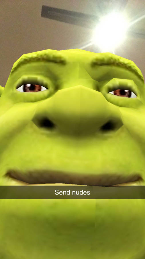 Shrek Nudes Meme Pfp Wallpaper