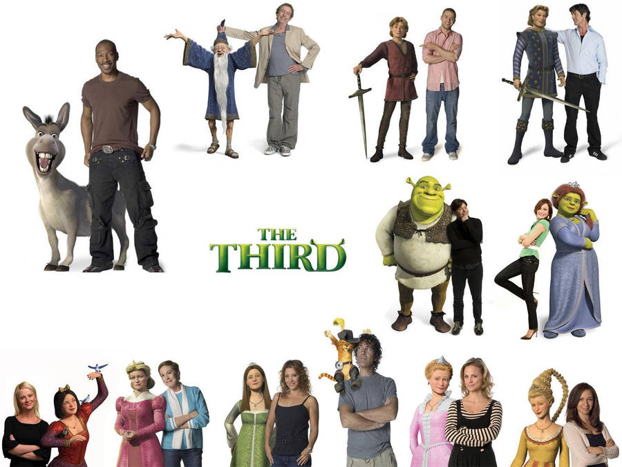 Shrek The Third Voice Actors Wallpaper