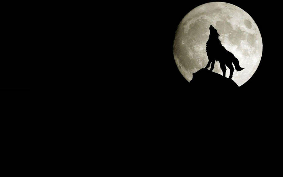 Silhouette Of Cool Black Wolf On Full Moon Wallpaper