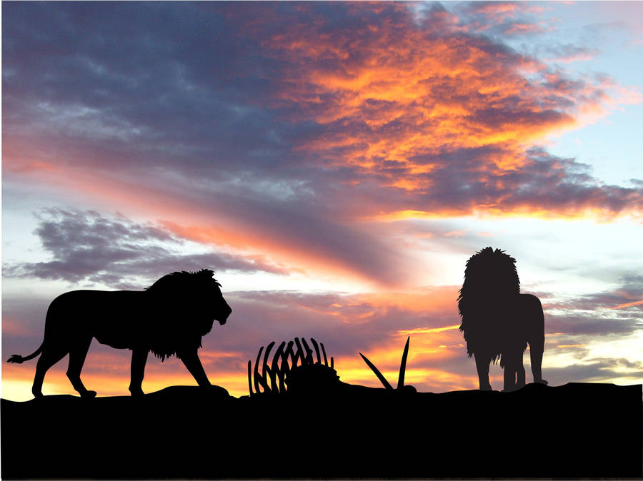 Silhouette Of Lion Laptop Wallpaper