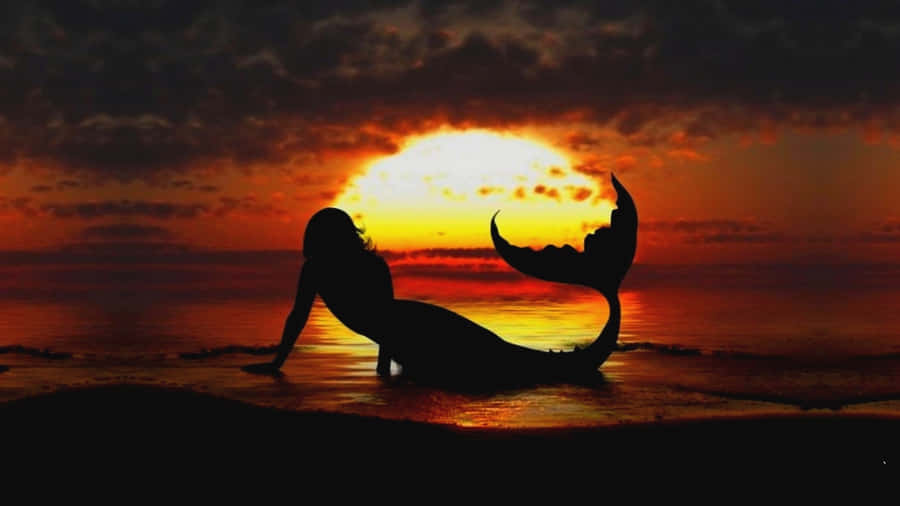 Silhouetted Beautiful Mermaid Wallpaper