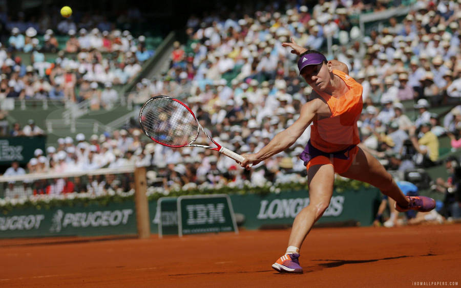 Simona Halep In French Open Wallpaper