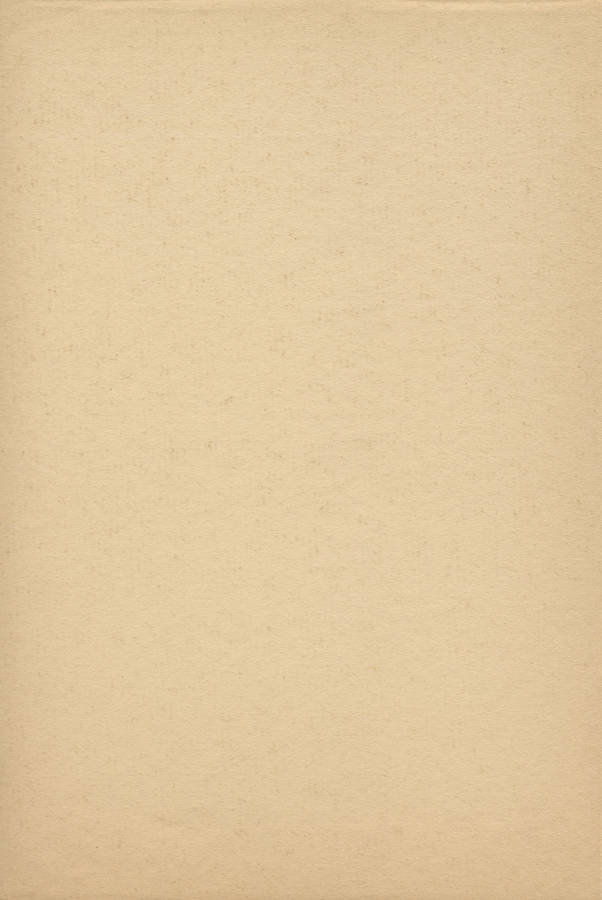 Simple And Plain Beige Wallpaper