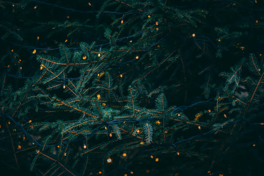 Simple Lights High Resolution Christmas Desktop Wallpaper