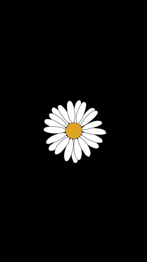 Simple White Daisy Aesthetic Black Wallpaper