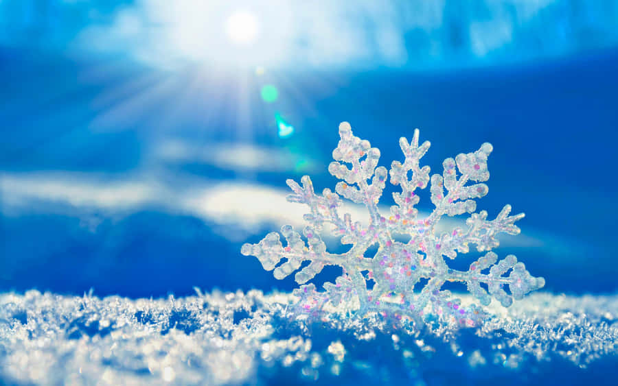 Simple Winter Snowflake Wallpaper