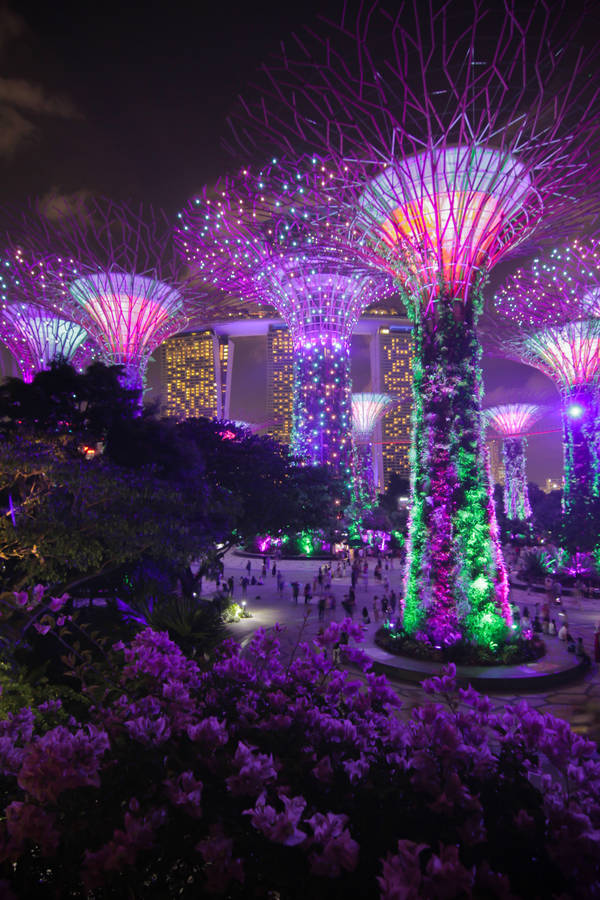 Singapore Purple Supertrees Wallpaper