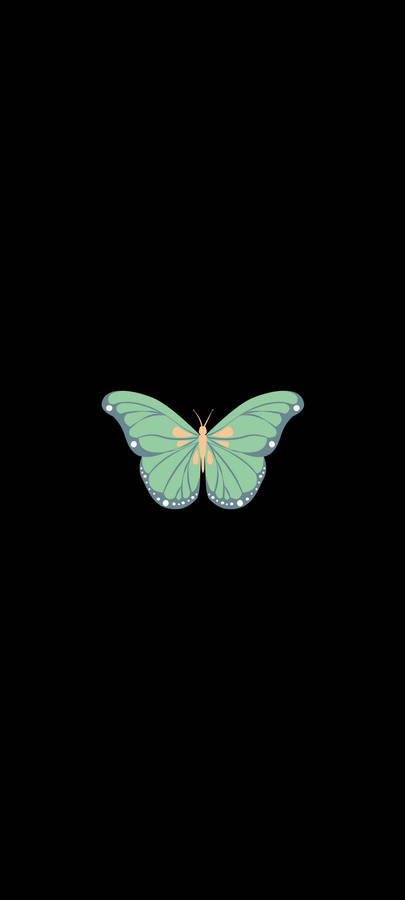 Single Green Butterfly Oneplus 9r Wallpaper