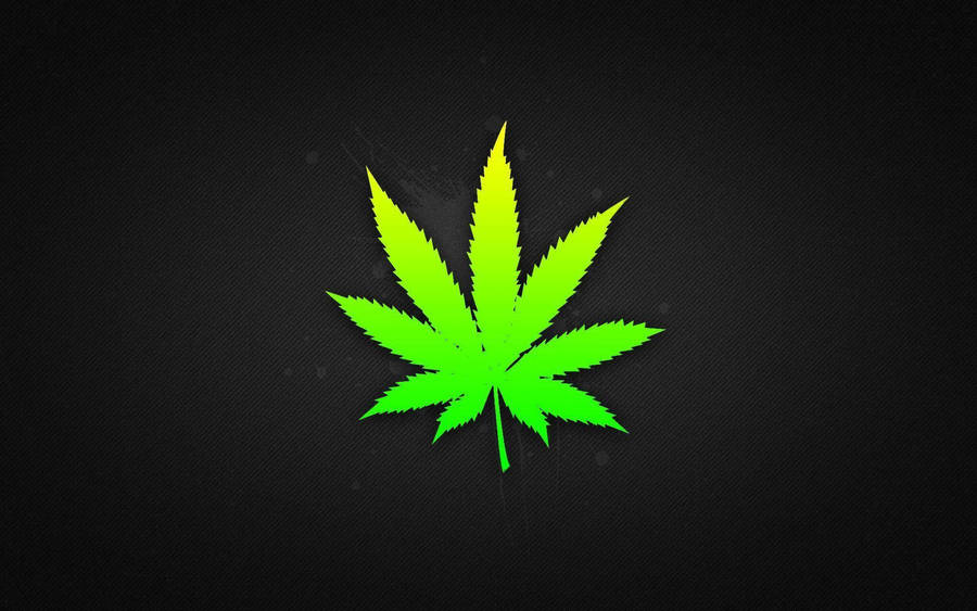 Single Leaf Weed Aesthetic Wallpaper