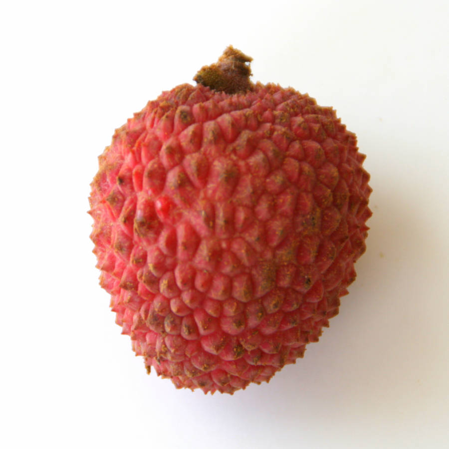 Single Litchi Fruit Wallpaper