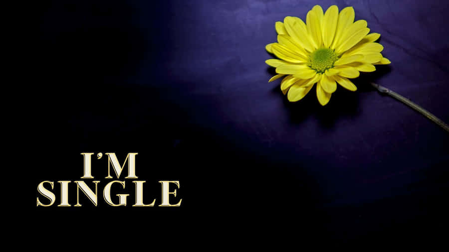 Single Status Yellow Flower Dark Background Wallpaper