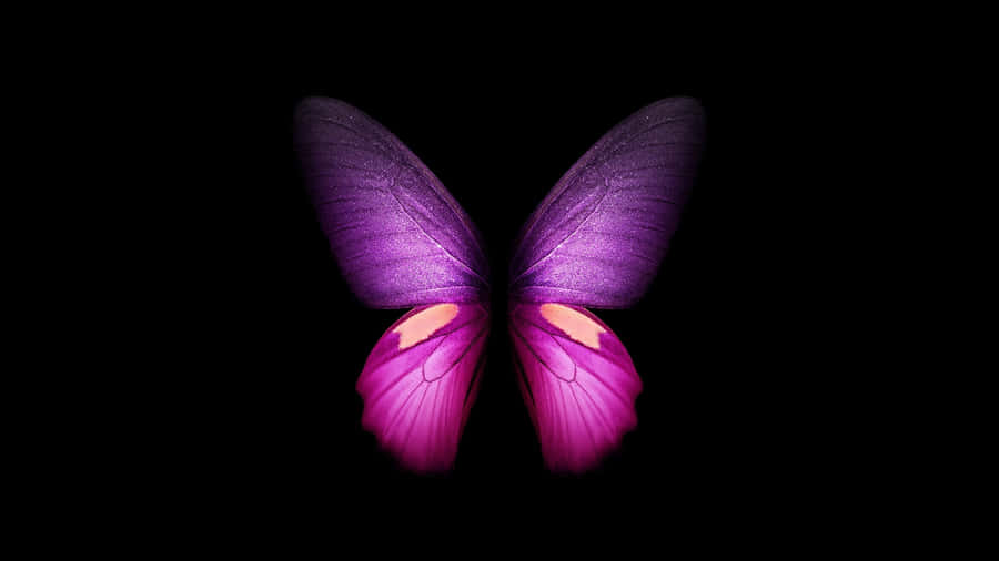 Singular Pink Glitter Butterfly Wallpaper
