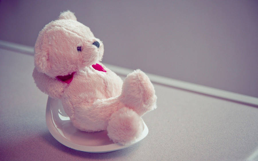 Sitting Pink Teddy Bear Wallpaper