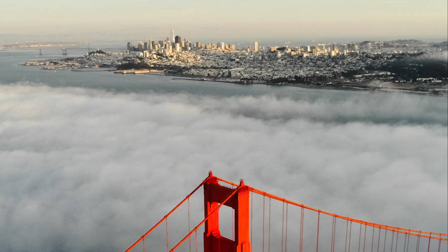 Skyline Of San Francisco, Usa Wallpaper