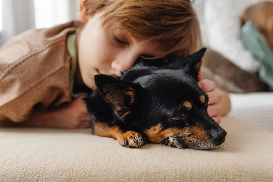 Sleeping Dog And A Baby Wallpaper