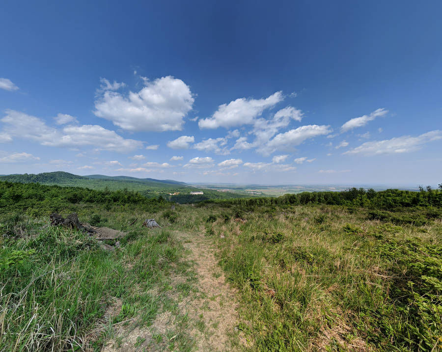 Slovakia Grass Field Wallpaper