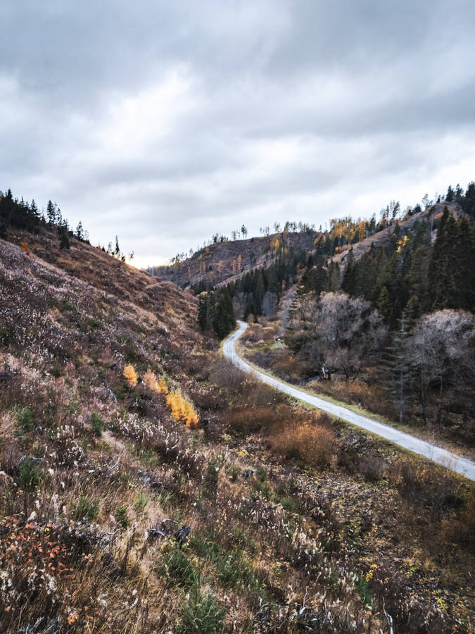 Slovakia Road Between Hills Wallpaper