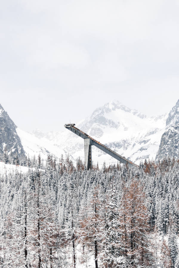 Slovakia Trees And Mountain Wallpaper