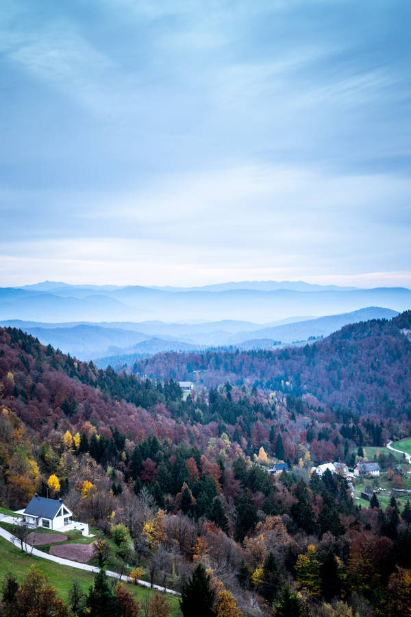 Slovenia Medvode Autumn Trees Wallpaper