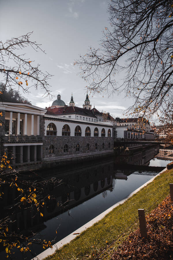 Slovenia Riverside Market Wallpaper