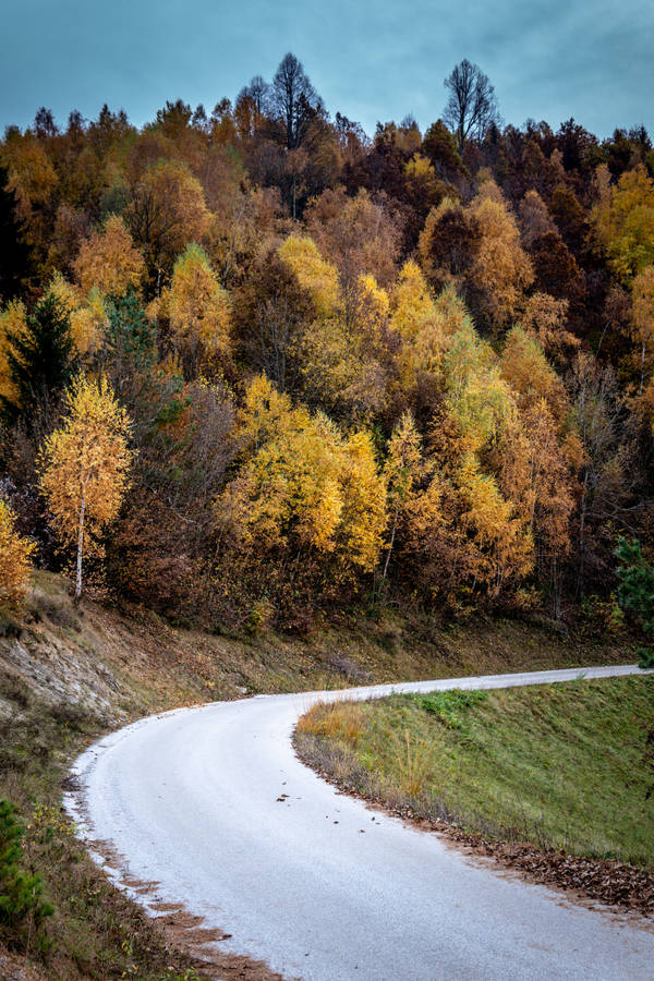 Slovenia Sv. Jakob Curved Road Wallpaper