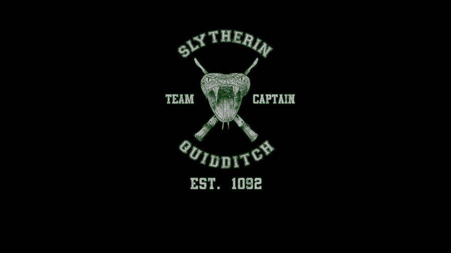 Slytherin Quidditch Team Harry Potter Ipad Wallpaper