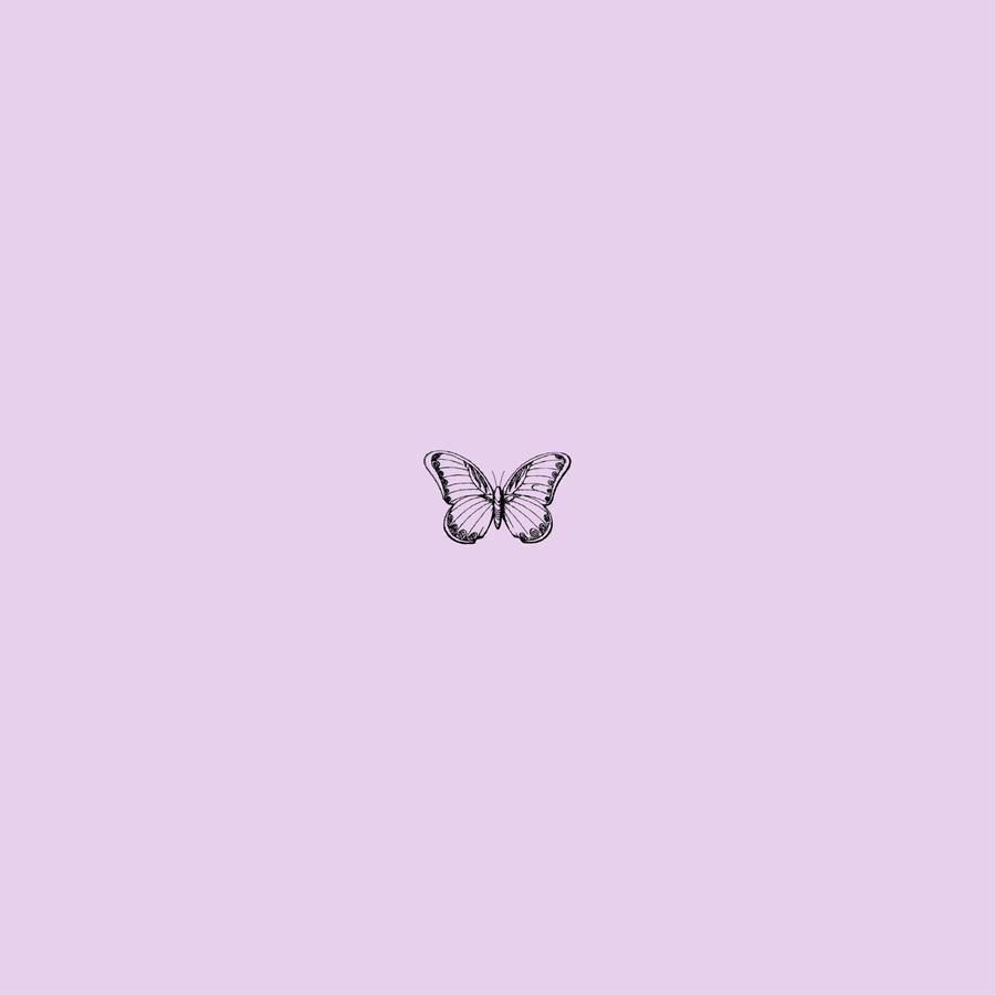 Small Purple Butterfly Phone Background Wallpaper