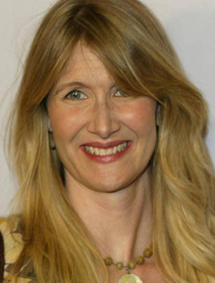 Smiling Actress Laura Dern Wallpaper