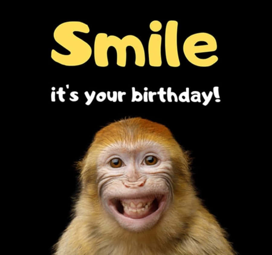 Smiling Monkey Birthday Greeting Wallpaper