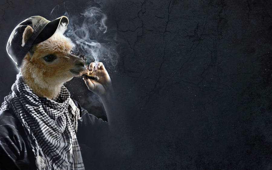 Smoking Llama Wallpaper