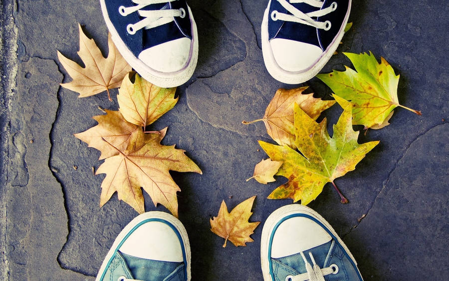 Sneaker People On Maple Leaves Wallpaper