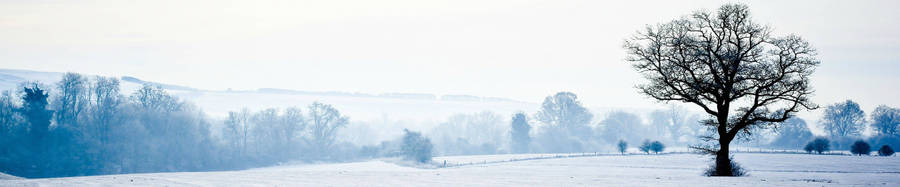 Snow-covered Landscape Three Screen Wallpaper