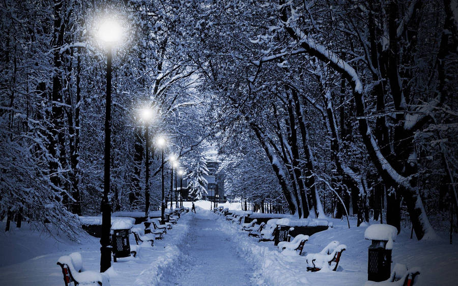 Snow Desktop Path In A Park Wallpaper
