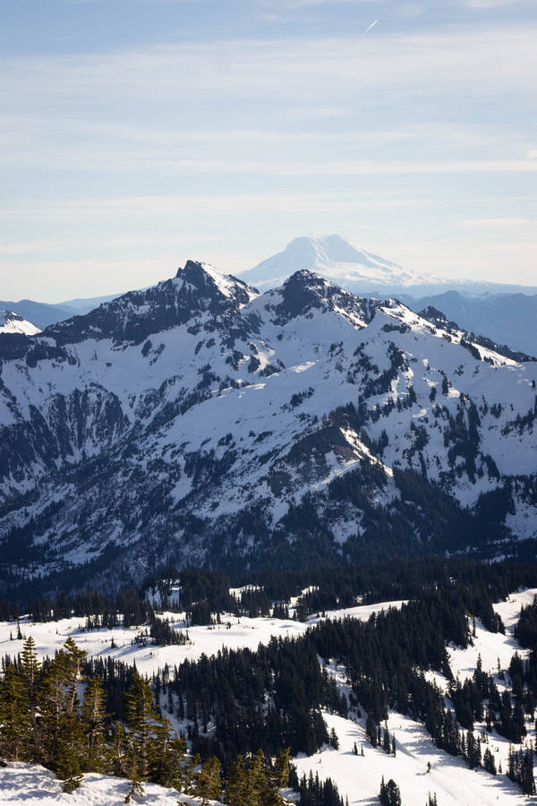 Snow Mountain Trees Top Iphone Wallpaper