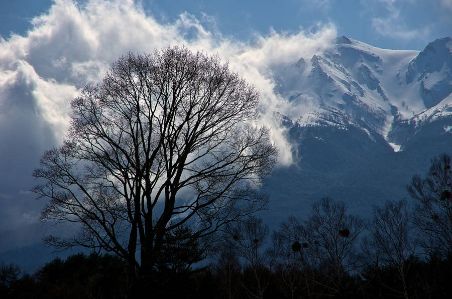 Snow Mountain Winter Terrain Wallpaper