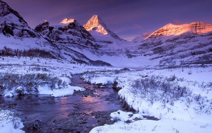 Snow Mountains Of Assiniboine Wallpaper