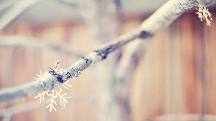 Snowflakes At Tree Branch Wallpaper