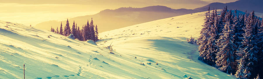 Snowscape Linkedin Banner Wallpaper