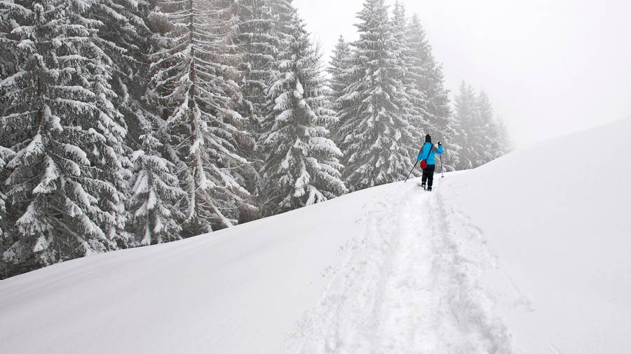 Snowshoeing Trace Snow Mountain Wallpaper