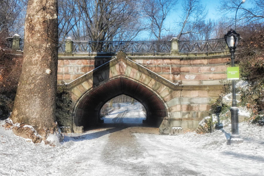 Snowy Central Park Wallpaper