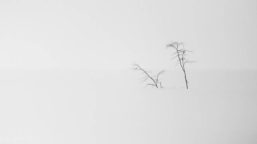 Snowy Landscape Minimalist Aesthetic Laptop Wallpaper